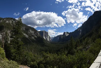 DSC_4330 (Large).JPG